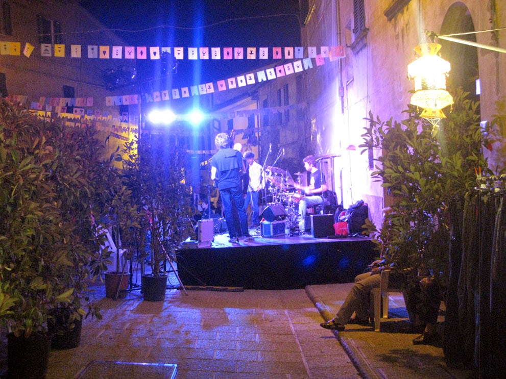 20° Festa dell'Allegria (2014)